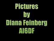 SlideTitle DianaF